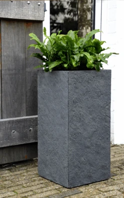 Plantenbak Arizona Cubihi - L22 X B22 X H50cm - Donkergrijs 7 Plantenbak Arizona Cubihi - L22 X B22 X H50cm - Donkergrijs -Tuinbenodigdheden arizona cubihi graphite w22h50 plantenbak 7 4
