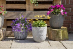 Bloempot Arkansas Egg Washed - D39 X H38cm - Lichtgrijs -Tuinbenodigdheden arkansas egg pot washed grey d39h38 bloempot 7 9