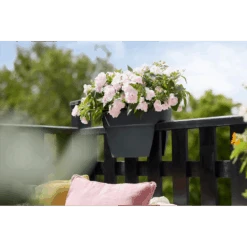 Elho Balkonbak Vibia Campana Bridge 40cm - Antraciet -Tuinbenodigdheden balkonbak vibia campana bridge 40cm antraciet balkonbak antraciet 5 1