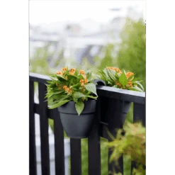 Elho Balkonbak Vibia Campana Twin 21cm - Antraciet -Tuinbenodigdheden balkonbak vibia campana twin 21cm antraciet balkonbak antraciet 5 1