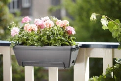 Balkonbak Elho Barcelona Allin 1 50cm - Antraciet 9 Balkonbak Elho Barcelona Allin 1 50cm - Antraciet -Tuinbenodigdheden barcelona allin1 50cm plantenbak antraciet 7 18