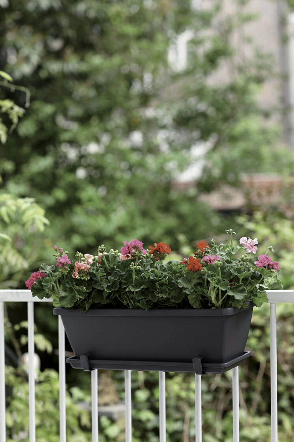 Balkonbak Elho Barcelona 90cm - Antraciet 4 Balkonbak Elho Barcelona 90cm - Antraciet - Afbeelding 2