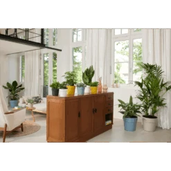 Bloempot Elho B.for Original Rond 25cm - Duifblauw -Tuinbenodigdheden bfor original rond bloempot duifblauw 4 1