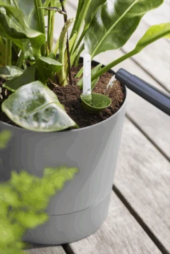 Bloempot Elho Greensense Aqua Care Rond - D30 X H29cm - Licht Beton -Tuinbenodigdheden bloempot elho greensense aqua care rond d30 x h29cm licht beton bloempot 6 2