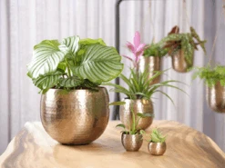 Bloempot Kody - D17 X H16cm - Rosu00e9 Goud 5 Bloempot Kody - D17 X H16cm - Rosu00e9 Goud -Tuinbenodigdheden bloempot kody d17 h16 rose goud bloempot 6 7