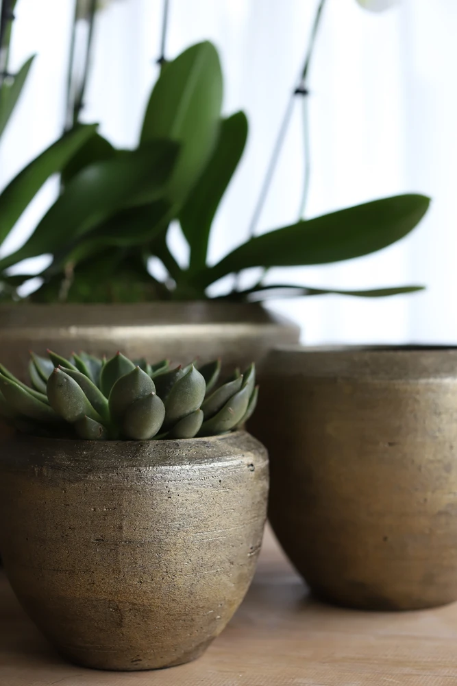 Bloempot Kos - D39 X H36cm - Goud 4 Bloempot Kos - D39 X H36cm - Goud - Afbeelding 2