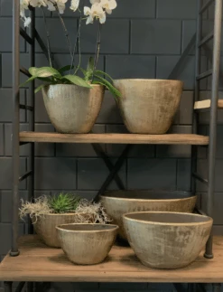 Bloempot Kos Ovaal - L39 X B20 X H31cm - Goud 7 Bloempot Kos Ovaal - L39 X B20 X H31cm - Goud -Tuinbenodigdheden bloempot kos serie ovaal goud bloempot 3 1