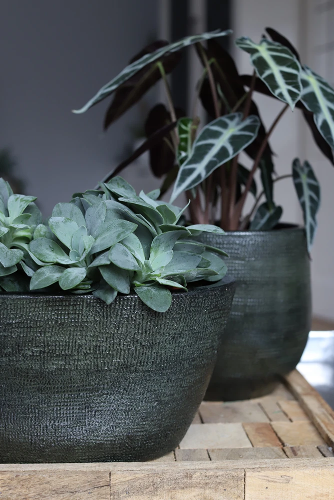 Bloempot Tokio Ovaal - L52 X B17 X H37cm - Groen 4 Bloempot Tokio Ovaal - L52 X B17 X H37cm - Groen - Afbeelding 2