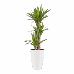 Bloempot Elho Brussels Diamond Rond Hoog 27cm - Wit -Tuinbenodigdheden brussels diamond rond hoog 27cm bloempot wit 6 5