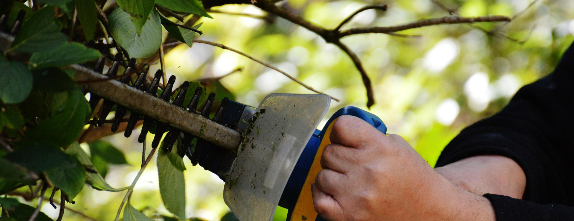 Voorkant 2 Voorkant -Tuinbenodigdheden bush 972972 1920