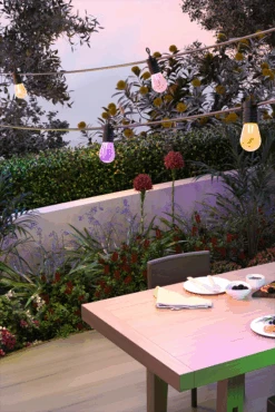 Calex Smart Outdoor Feestverlichting/Partystring - 10M 24V -Tuinbenodigdheden calex smart outdoor feestverlichting partystring 10m 24v 5