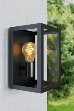 Calex Smart Standaard Led Lamp - 7W 550lm 1800-6500K -Tuinbenodigdheden calex smart standaard led lamp 7w 550lm 1800 6500k 4