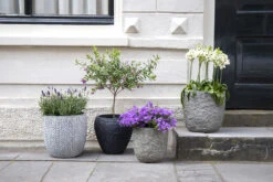 Bloempot Colorado Egg - D25 X H25cm - Grijs 7 Bloempot Colorado Egg - D25 X H25cm - Grijs -Tuinbenodigdheden colorado egg pot river grey d25h25 bloempot 7 9