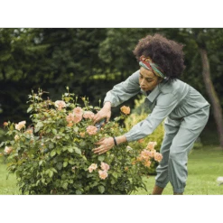 Comfort Snoeischaar - Gardena -Tuinbenodigdheden comfort snoeischaar gardena 3 7