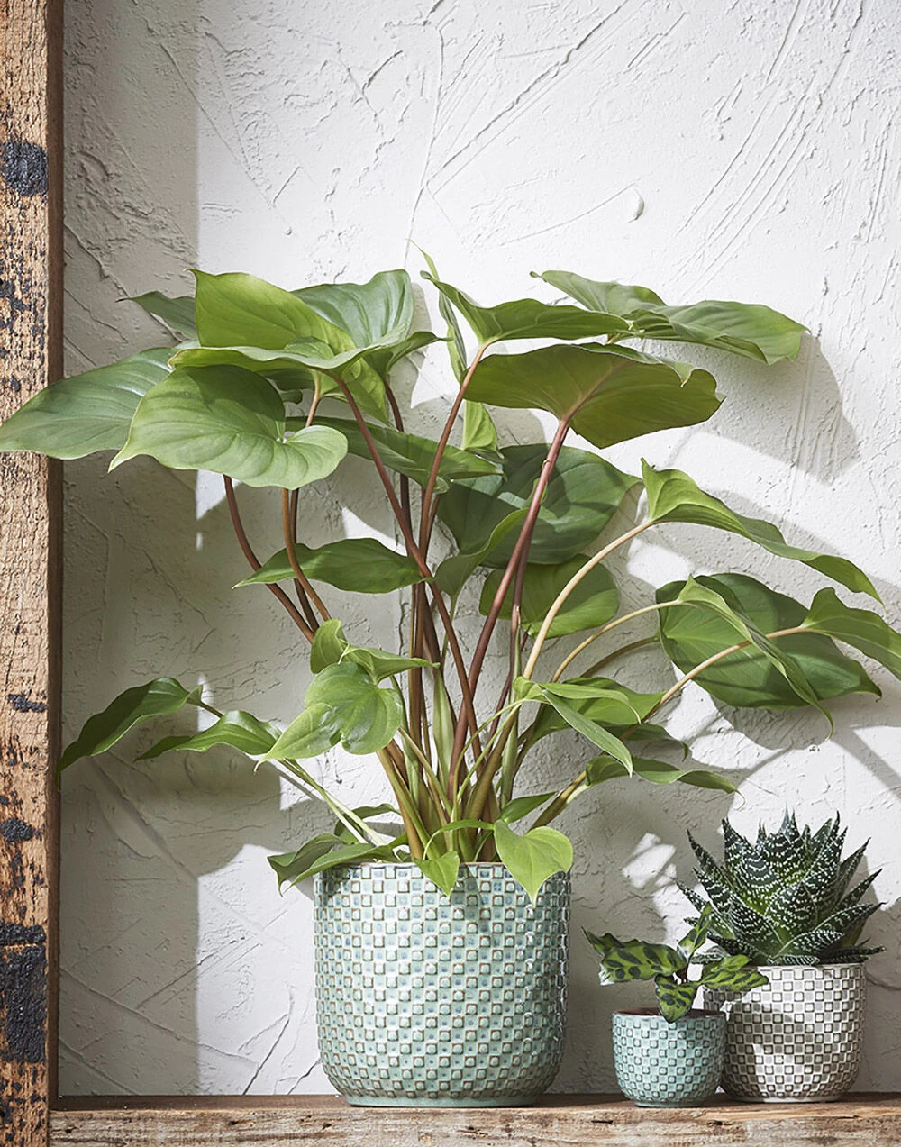 Bloempot Daan - D19 X H17.5cm - Wit 4 Bloempot Daan - D19 X H17.5cm - Wit - Afbeelding 2