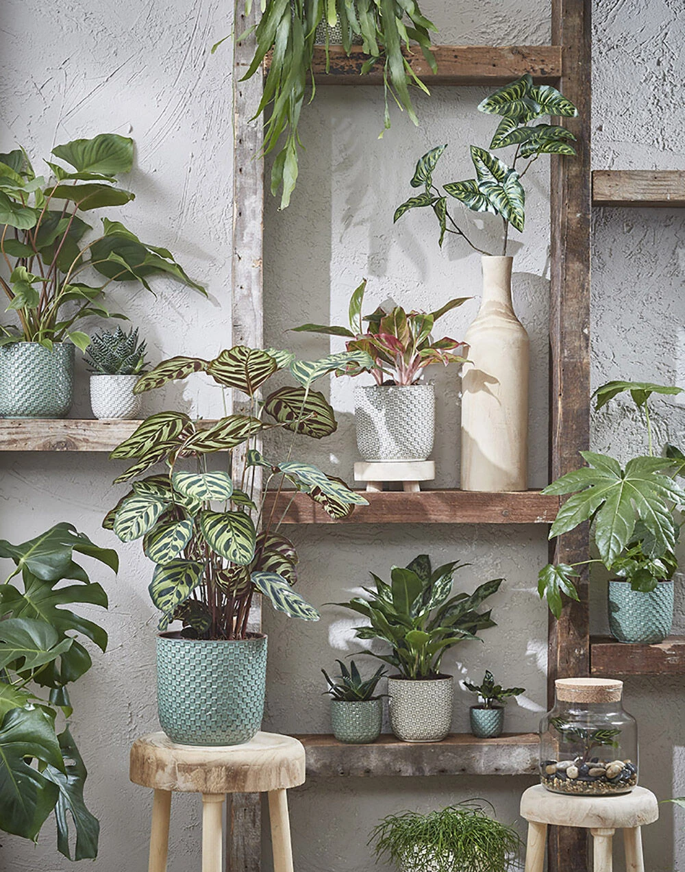 Bloempot Daan - D19 X H17.5cm - Wit 5 Bloempot Daan - D19 X H17.5cm - Wit - Afbeelding 3