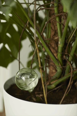 Aqua Care Elho - Transparant 11 Aqua Care Elho - Transparant -Tuinbenodigdheden elho aqua care transparant water geven 7 2