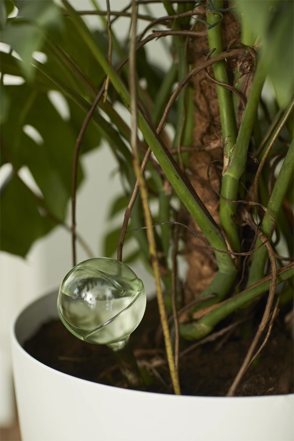 Aqua Care Elho - Transparant 7 Aqua Care Elho - Transparant - Afbeelding 5