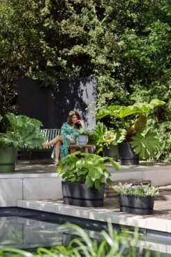 Bloembak Elho Greenville Terrace 60cm - Met Wielen - Living Black 11 Bloembak Elho Greenville Terrace 60cm - Met Wielen - Living Black -Tuinbenodigdheden greenville terrace trough 60cm wheels plantenbak living black 7 13