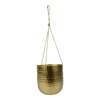 Hangpot Kody - D17 X H20cm - Goud -Tuinbenodigdheden hanger kody gold d17 h20 hangpot 1 4