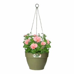 Elho Hangschaal Vibia Campana 26cm - Saliegroen -Tuinbenodigdheden hangschaal vibia campana 26cm saliegroen hangpot saliegroen 3 1