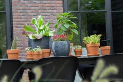 Bloempot Iowa Bullet - D23 X H20.5cm - Donkergrijs -Tuinbenodigdheden iowa bullet graphite d23h205 bloempot 7 9