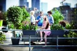 Balkonbak Elho Loft Urban Allin1 50cm - Antraciet 9 Balkonbak Elho Loft Urban Allin1 50cm - Antraciet -Tuinbenodigdheden loft urban balkonbak allin1 50 plantenbak antraciet 7 13