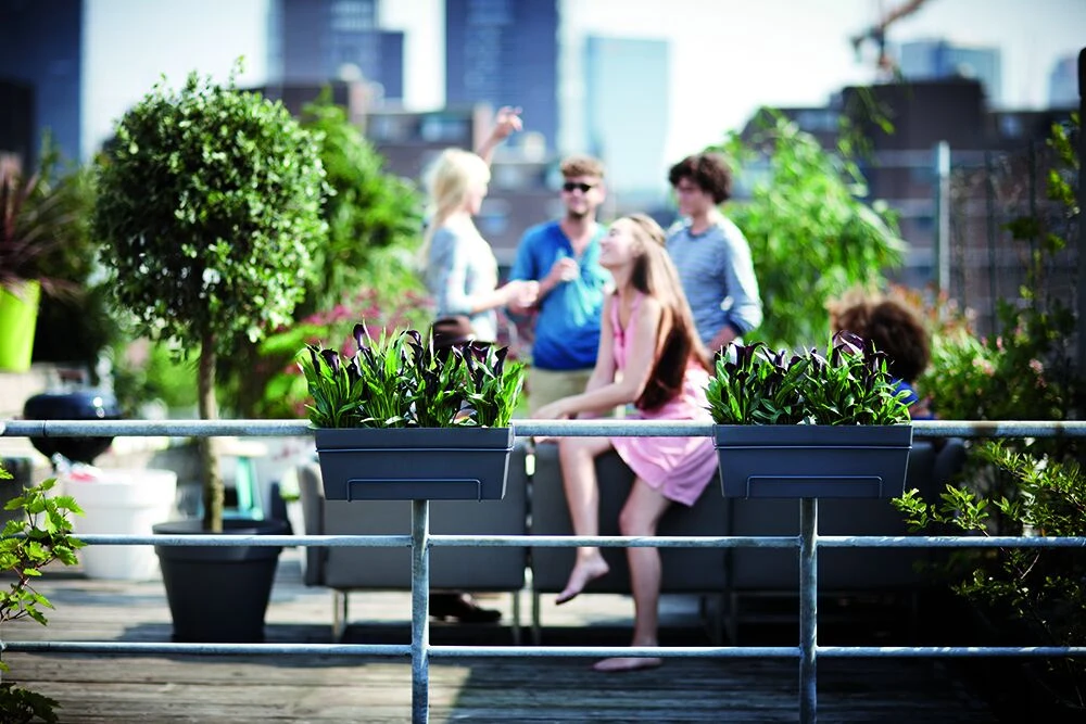 Balkonbak Elho Loft Urban Allin1 50cm - Antraciet 6 Balkonbak Elho Loft Urban Allin1 50cm - Antraciet - Afbeelding 4