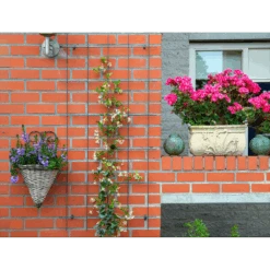 Nature - Metalen Klimrek Geplastificeerd Grijs H145x72,5cm 8 Nature - Metalen Klimrek Geplastificeerd Grijs H145x72,5cm -Tuinbenodigdheden nature metalen klimrek geplastificeerd grijs h145x72 5cm 3 2