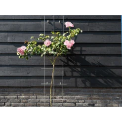 Nature - Metalen Klimrek Geplastificeerd Groen H145x42,5cm -Tuinbenodigdheden nature metalen klimrek geplastificeerd groen h145x42 5cm 3 2