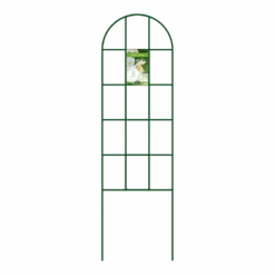 Peacock - Trellis Vario Gotisch M - U00f84 Mm