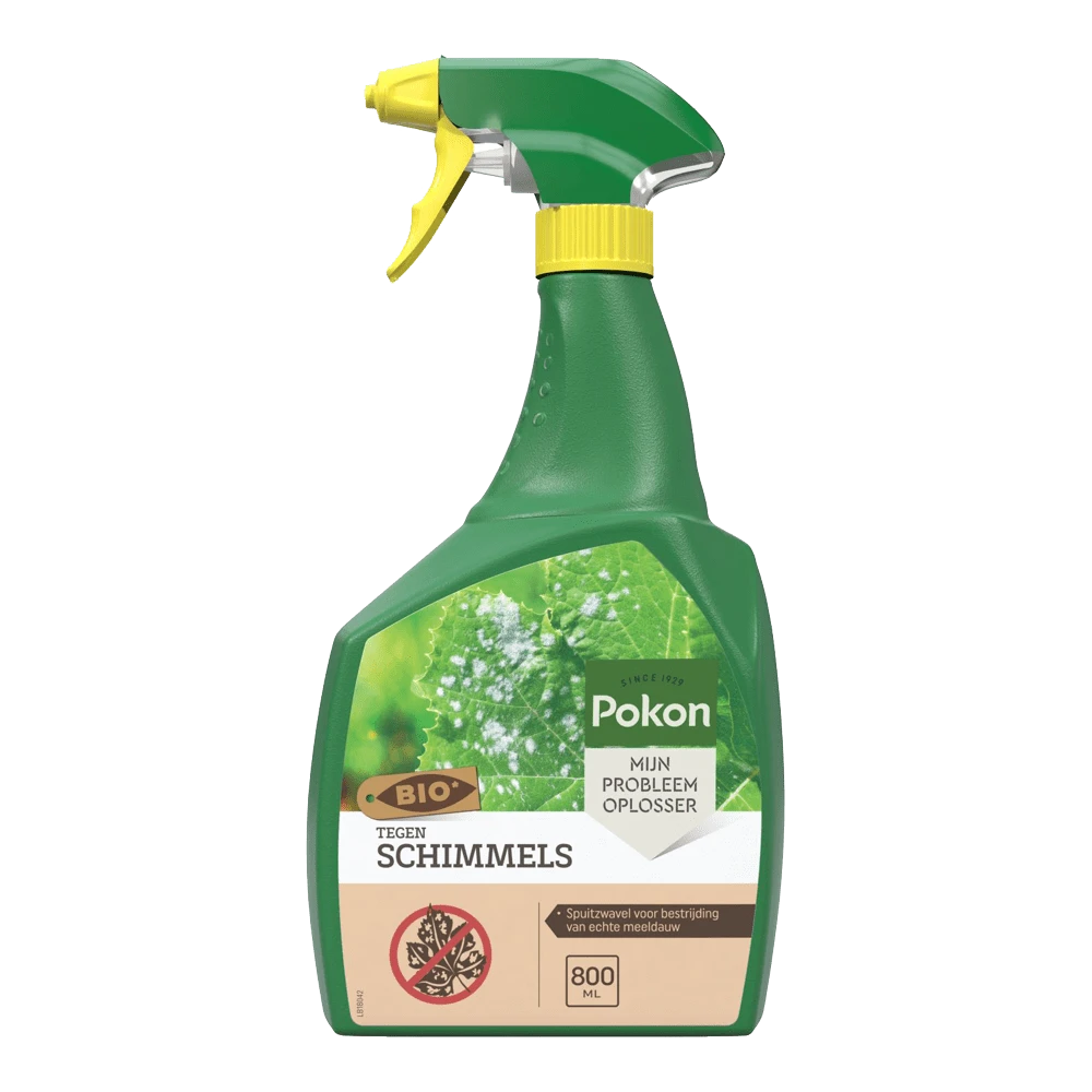 Pokon Bio Tegen Schimmels Spray 800ml - Schimmels 3 Pokon Bio Tegen Schimmels Spray 800ml - Schimmels