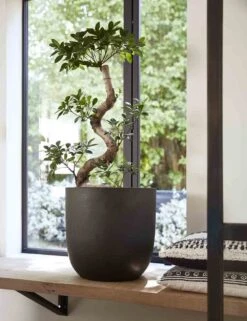 Capi Bloempot Bol Urban Smooth NL - D35 X H34cm - Zwart 7 Capi Bloempot Bol Urban Smooth NL - D35 X H34cm - Zwart -Tuinbenodigdheden pot bol smooth nl 35x34 zwart bloempot 7 8