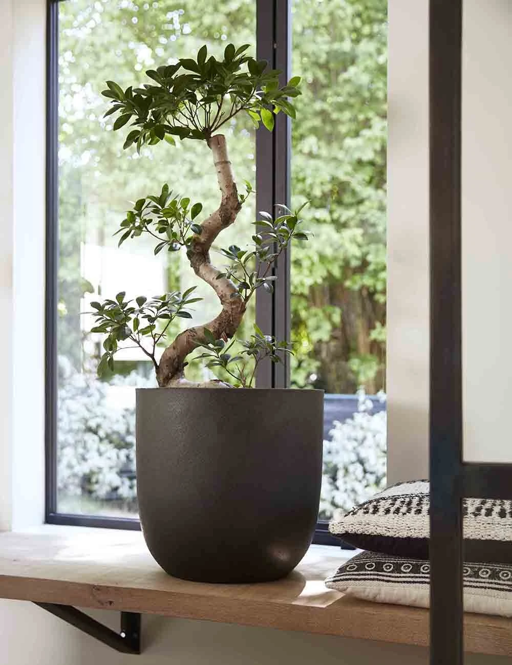 Capi Bloempot Bol Urban Smooth NL - D35 X H34cm - Zwart 5 Capi Bloempot Bol Urban Smooth NL - D35 X H34cm - Zwart - Afbeelding 3