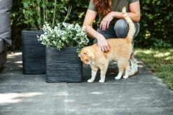 Capi Plantenbak Vierkant Nature Rib NL - L30 X B30 X H30cm - Zwart -Tuinbenodigdheden pot vierkant rib nl 30x30x30 zwart plantenbak 7 8