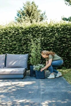 Capi Plantenbak Vierkant Nature Rib NL - L40 X B40 X H40cm - Zwart -Tuinbenodigdheden pot vierkant rib nl 40x40x40 zwart plantenbak 7 8