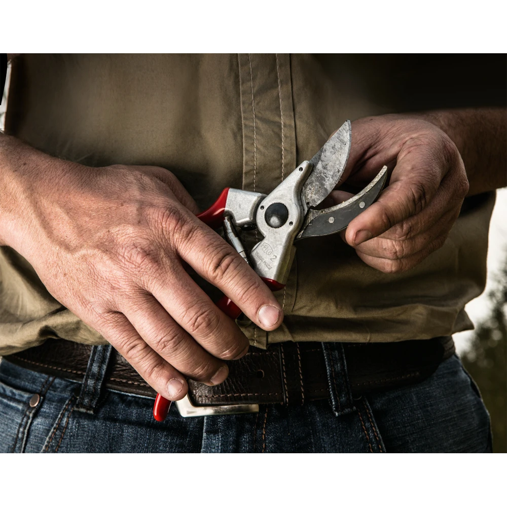Professionele Felco 2 Snoeischaar Max 25 Mm - Felco 4 Professionele Felco 2 Snoeischaar Max 25 Mm - Felco - Afbeelding 2
