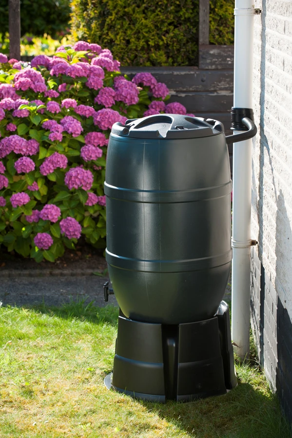 Regenton 120L Kunststof - Groen - H81xu00d850cm - Nature 5 Regenton 120L Kunststof - Groen - H81xu00d850cm - Nature - Afbeelding 3