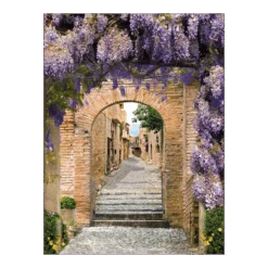 Tuinposter Doorkijk Bl. Regen Stad - 60x80cm