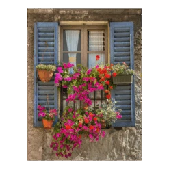 Tuinposter Kozijn Met Bloemen - 60x80cm