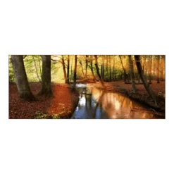 Tuinposter Lentebos - 110x45cm