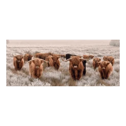 Tuinposter Longhorns - 110x45cm