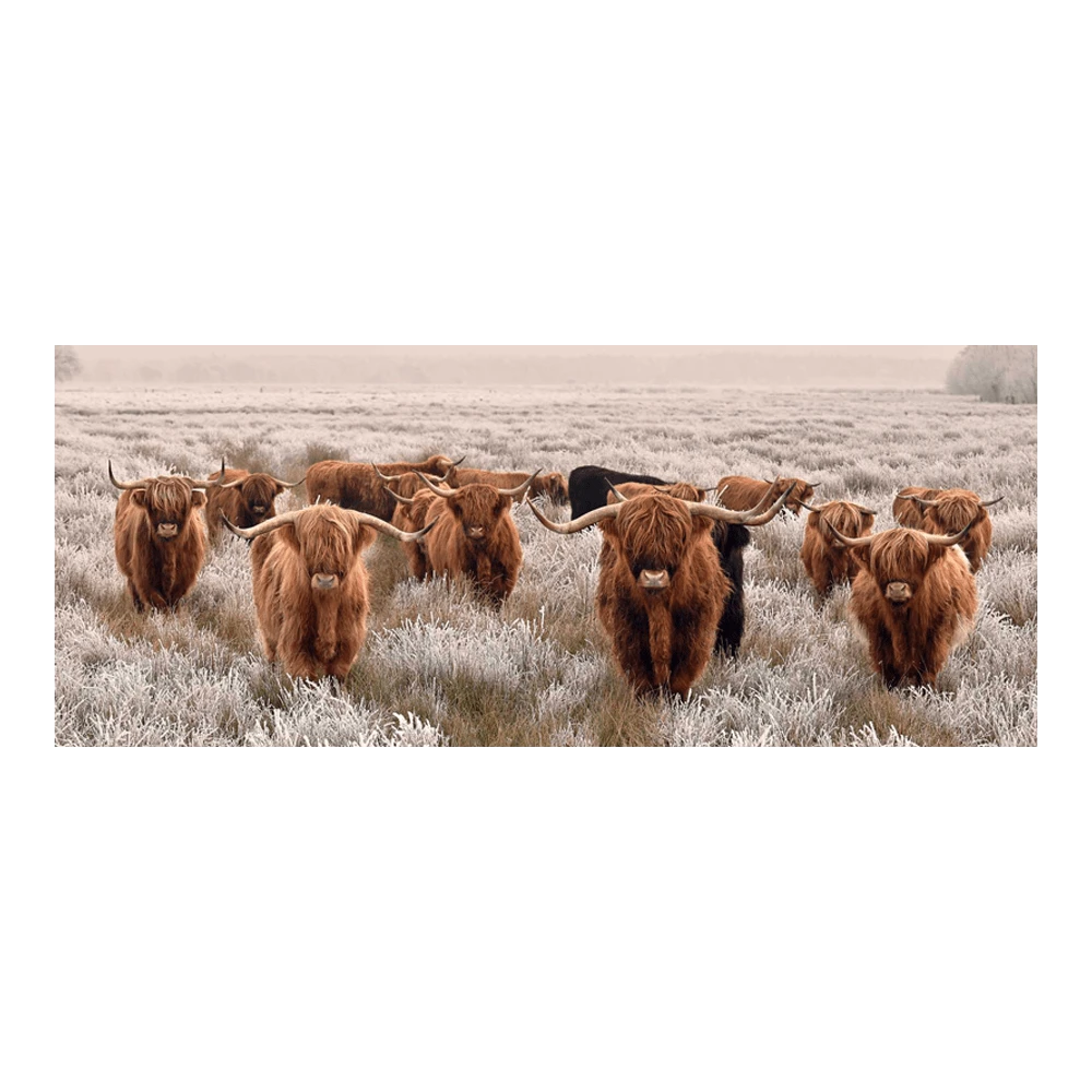 Tuinposter Longhorns - 110x45cm 3 Tuinposter Longhorns - 110x45cm