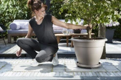 Plantentaxi Elho Universeel 35cm - Antraciet -Tuinbenodigdheden universele planttaxi 35cm schotel antraciet 6 11