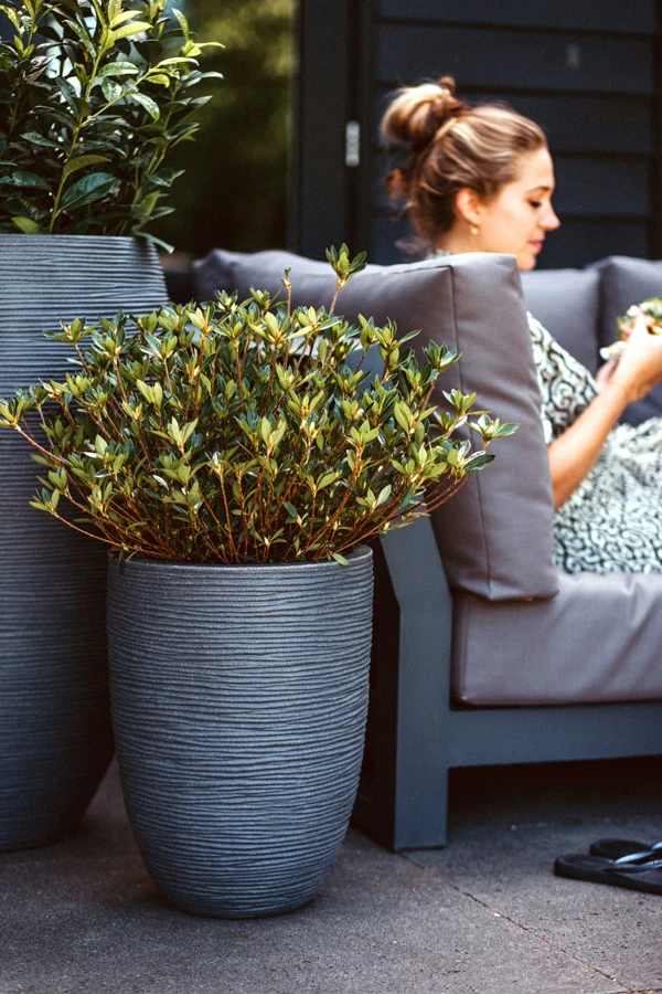 Capi Bloempot Nature Elegant Rib NL - D34 X H46cm - Donkergrijs 4 Capi Bloempot Nature Elegant Rib NL - D34 X H46cm - Donkergrijs - Afbeelding 2