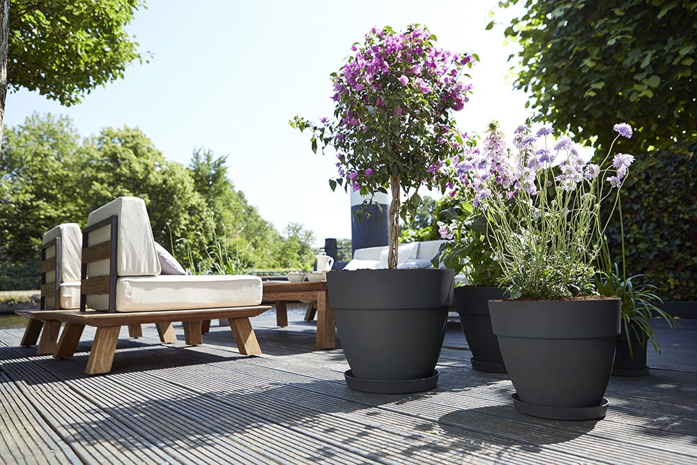 Bloempot Elho Vibia Campana Rond 55cm - Antraciet 4 Bloempot Elho Vibia Campana Rond 55cm - Antraciet - Afbeelding 2