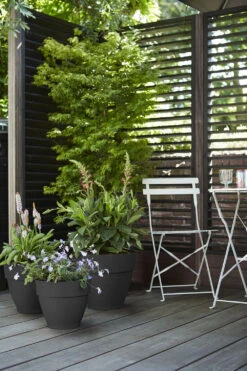 Bloempot Elho Vibia Campana Rond 55cm - Antraciet 7 Bloempot Elho Vibia Campana Rond 55cm - Antraciet -Tuinbenodigdheden vibia campana rond 55 bloempot antraciet 7 11