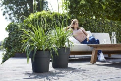 Bloempot Elho Vibia Straight Rond 40cm - Antraciet -Tuinbenodigdheden vibia straight rond 40cm bloempot antraciet 7 11