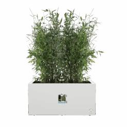 Elho Vivo Next Lang Wielen 60cm - Wit -Tuinbenodigdheden vivo next lang wielen 60cm wit 5 1