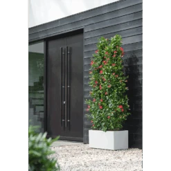 Elho Vivo Next Lang Wielen 60cm - Wit -Tuinbenodigdheden vivo next lang wielen 60cm wit 6 1